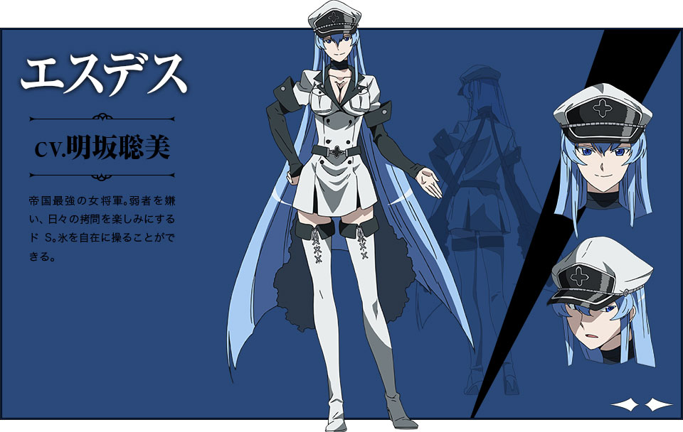 Akame-ga-KILL-Character Designs -  Esdese