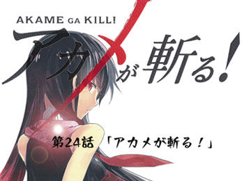 Akame ga Kill! Storyboards Leaked for Final Episode